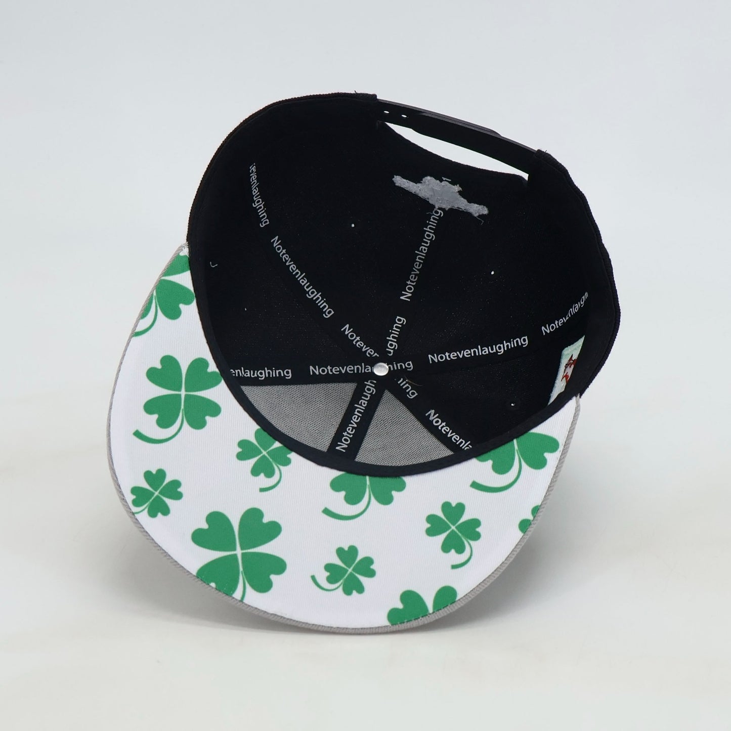 "Tinted" N.E.L Snapback 1 OF 2