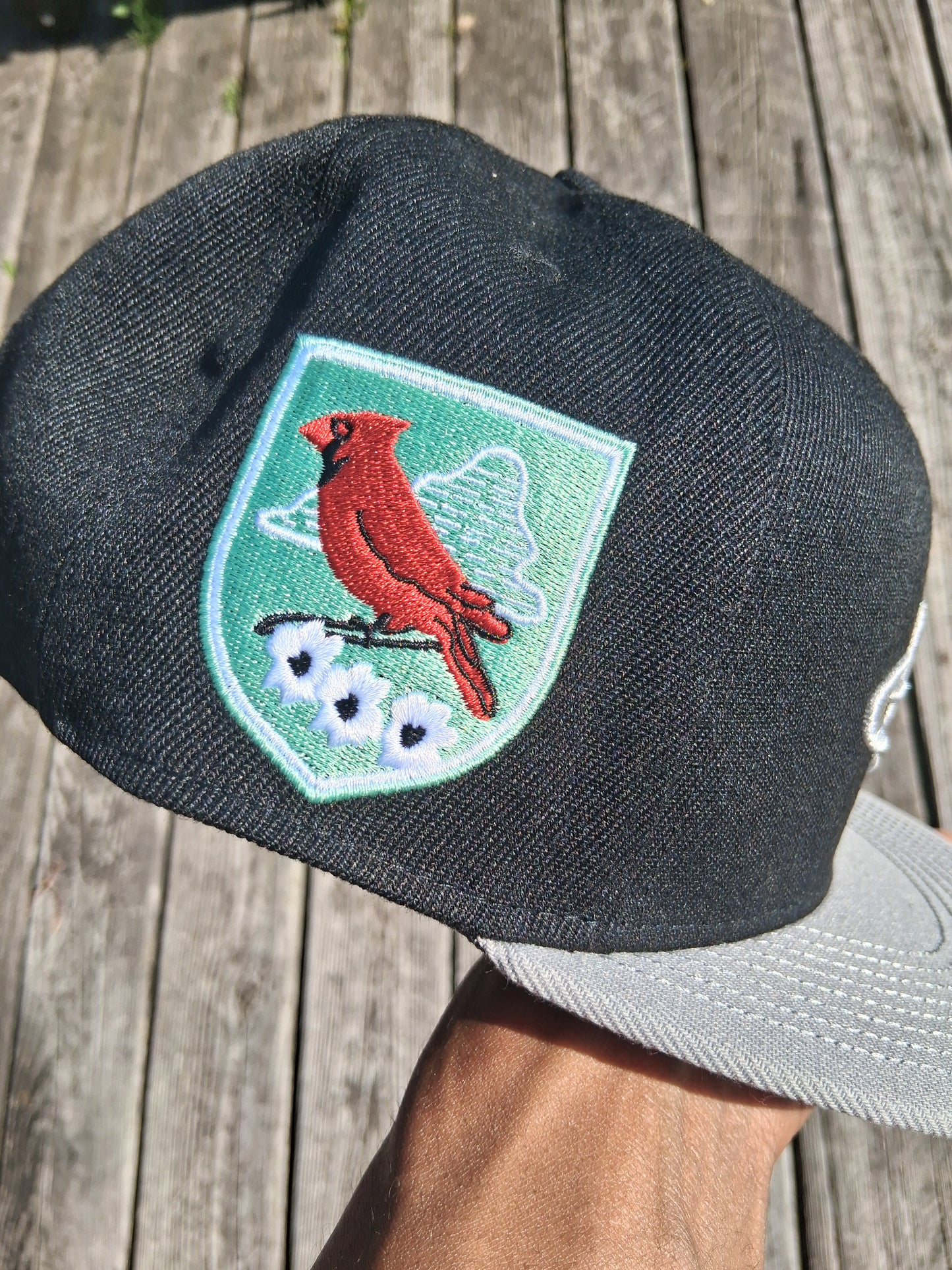 "Tinted" N.E.L Snapback 1 OF 2