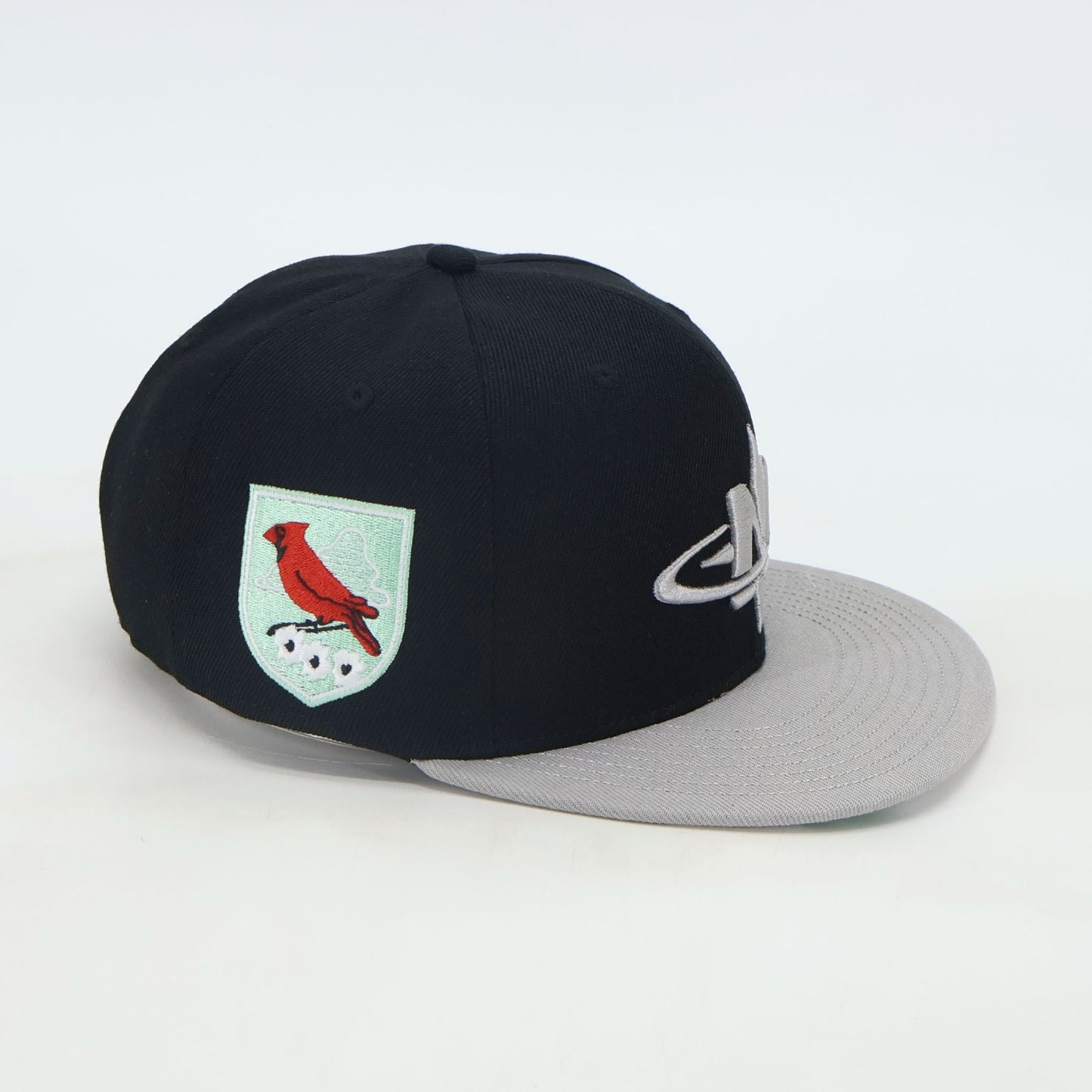 "Tinted" N.E.L Snapback 1 OF 2
